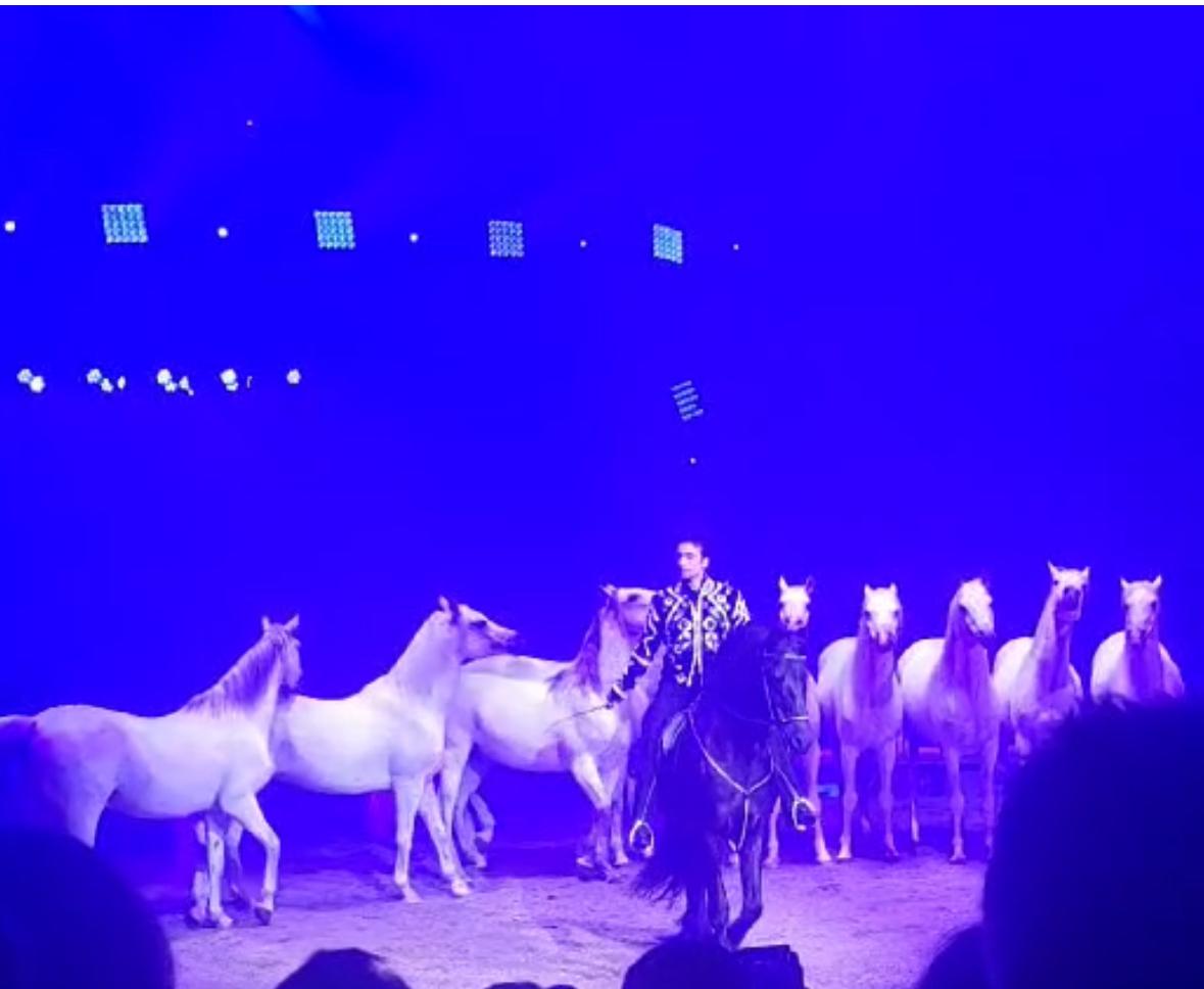 Tessin.ch: Zirkus Knie in Agno – Magische Momente für die ganze Familie in 6982 Agno 