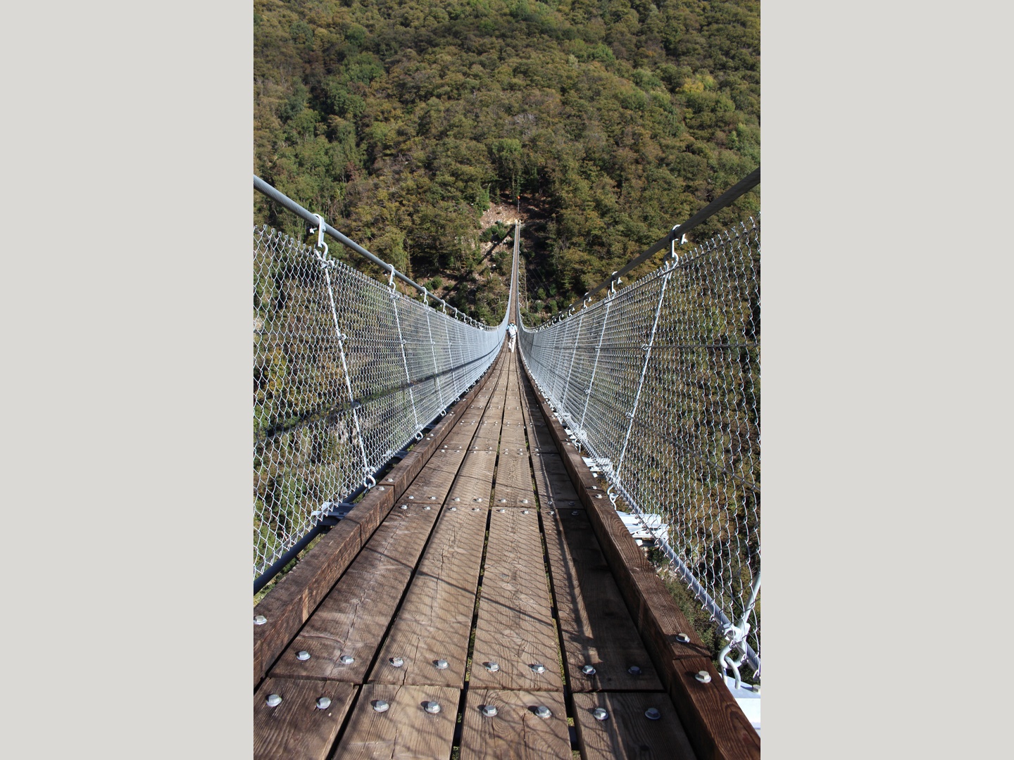 Tessin.ch: Ponte Tibetano Carasc in Region Bellinzona 